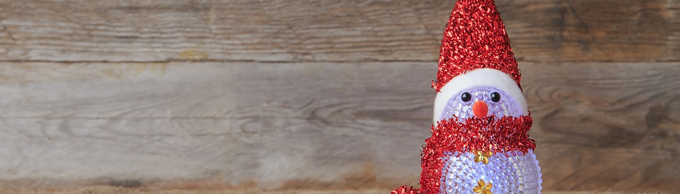 Christmas Savings Account